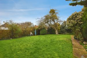 Photo 12- click for photo gallery